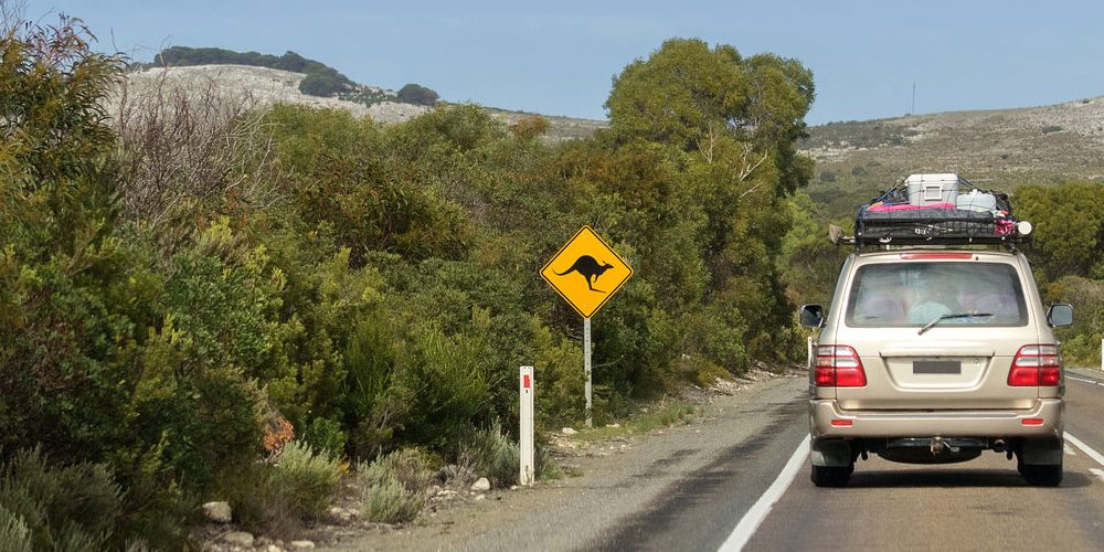 Kangaroo sign on outback road Website Header 